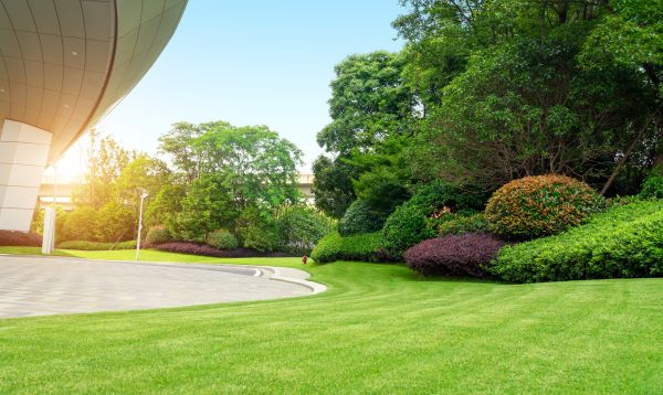 Commercial Shrub Trimming in Saint George
