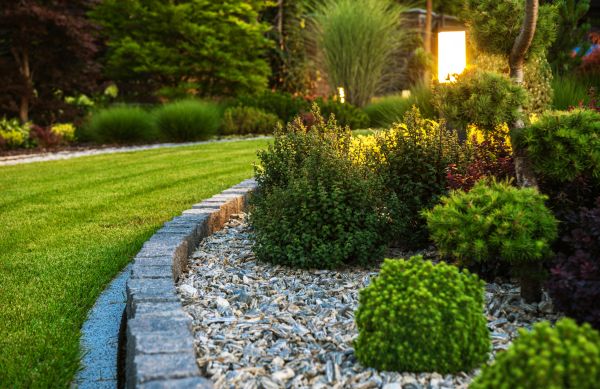 Cost of Bush Relocation in Saint George