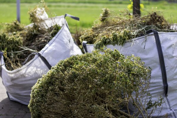 Cost of Shrubs Removal in Saint George