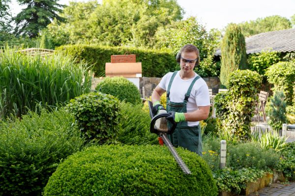 Shrubs Trimming in Saint George