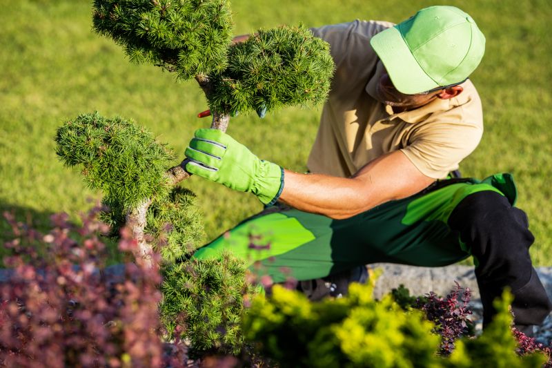Black Friday Landscaping Deals