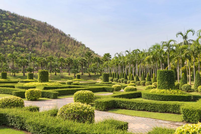 Landscape After Trimming