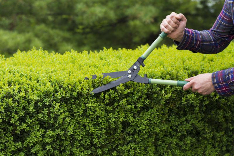 Pruning Tools for Shrubs